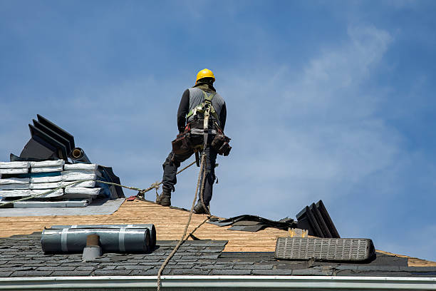 Professional Roofing technician working in Newhall, IA